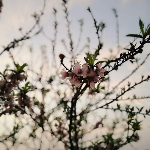 男生边摸🐻边亲cb
